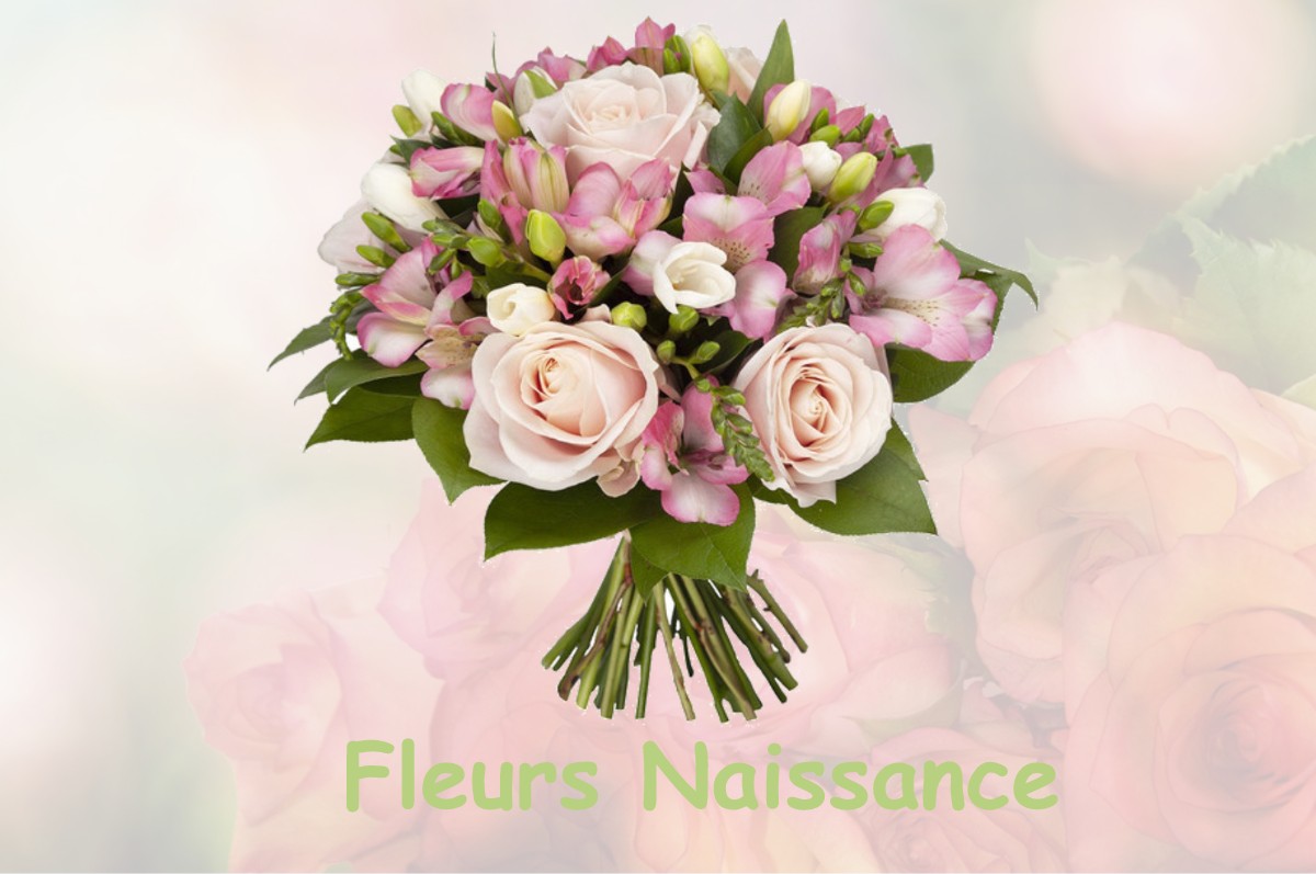 fleurs naissance SAINT-JULIA