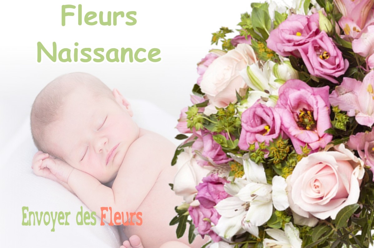 lIVRAISON FLEURS NAISSANCE à SAINT-JULIA